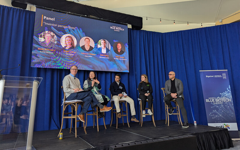 A panel of investors at the North Atlantic Blue BioTech summit