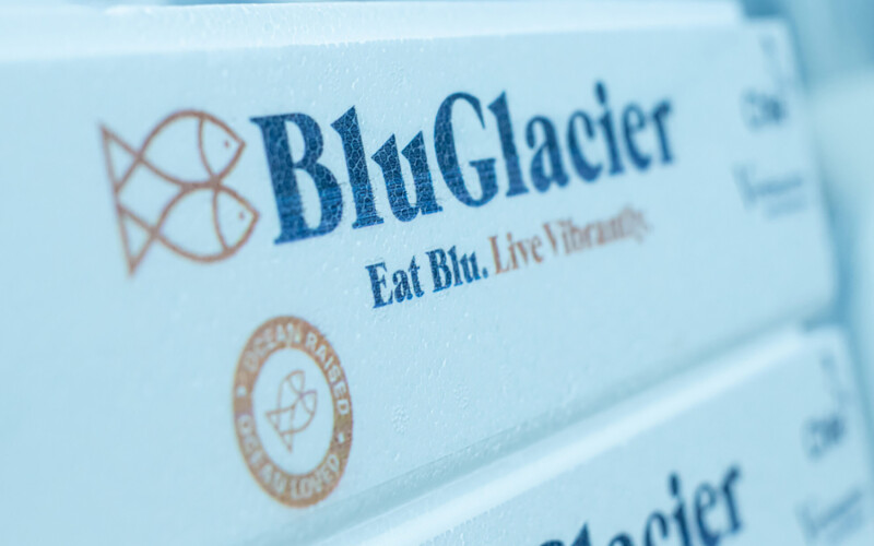 A box of BluGlacier brand salmon