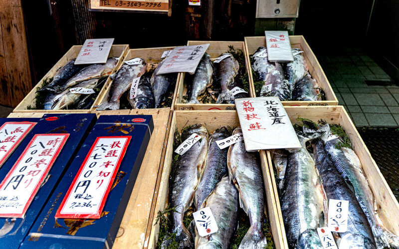 salmon for sale in Tokyo