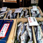 salmon for sale in Tokyo