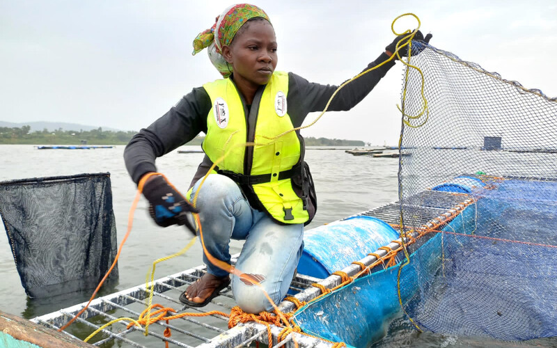 A fish farmer on Lake Victoria