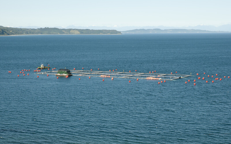 A Chilean fish farm