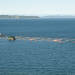A Chilean fish farm