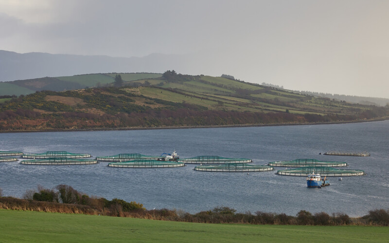 A fish farm in County Donegal, Ireland