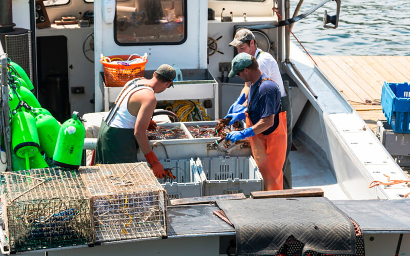 Maine lobstermen