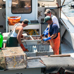 Maine lobstermen
