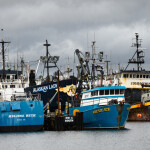 commercial fishing vessels