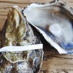 Colchester oysters