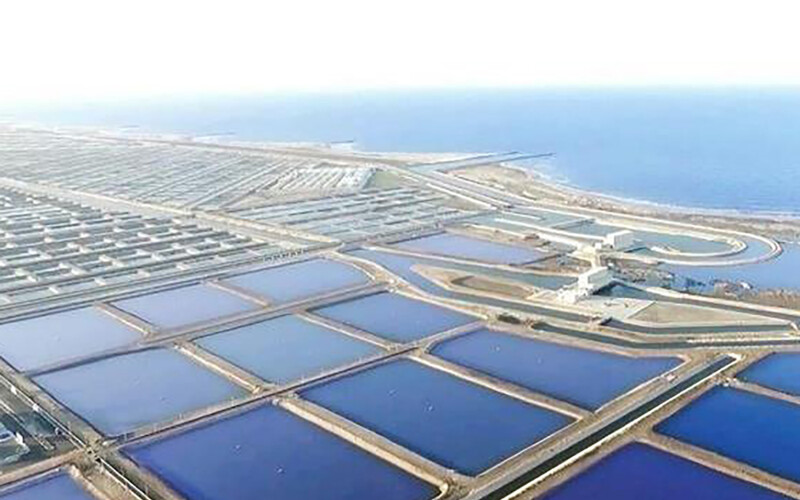 The Berket Ghalioun Fishing and Aquaculture project