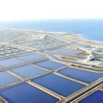 The Berket Ghalioun Fishing and Aquaculture project