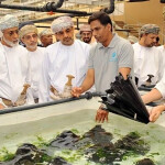 Staff of Oman Aquaculture Co. showcasing the firm's abalone-farming operations
