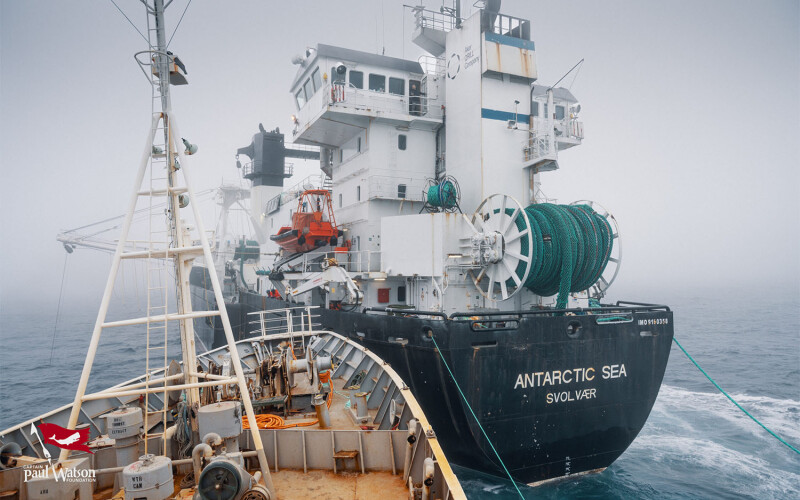 A fishing vessel operated by Aker being rammed by the Bandero in the Antarctic Sea