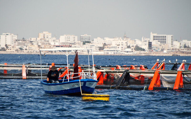 A fish farm off of the Tunisian coast