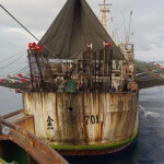 A Chinese squid jigging vessel in the Southeast Pacific