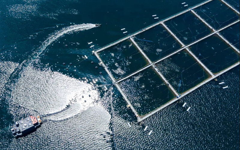 An aerial view of a Multi X fish farm