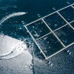 An aerial view of a Multi X fish farm