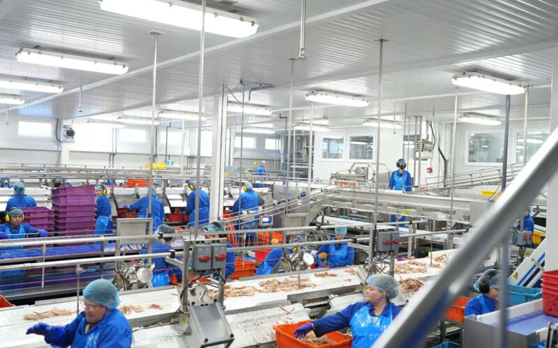 A Quinlan Brothers crab-processing plant
