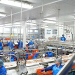 A Quinlan Brothers crab-processing plant