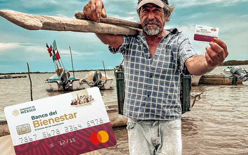 Bienpesca cards