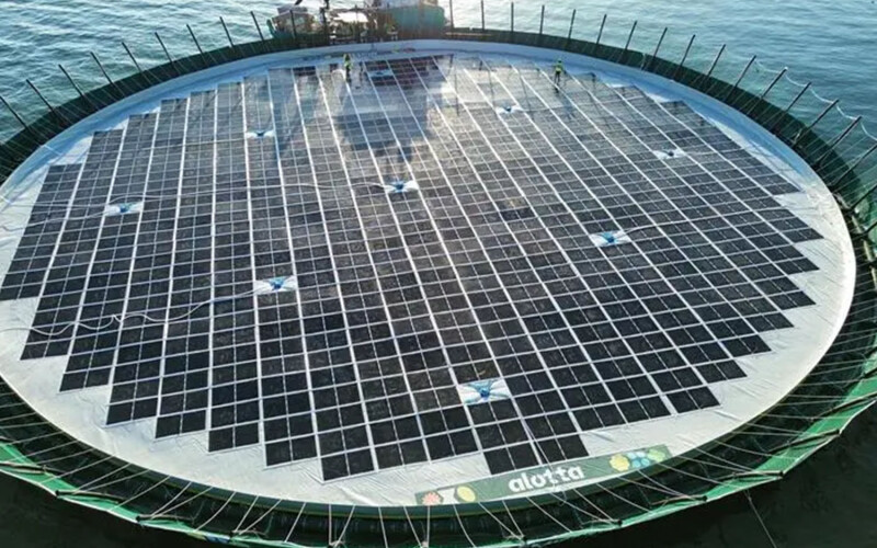 An aerial view of a AKVA-created salmon net pen, covered in solar panels