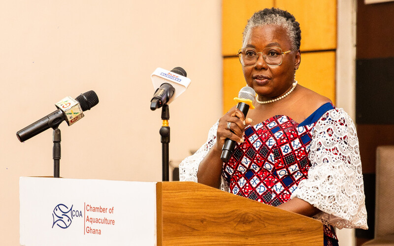 Ghana Fisheries and Aquaculture Development Minister Emelia Arthur at the hub’s launch