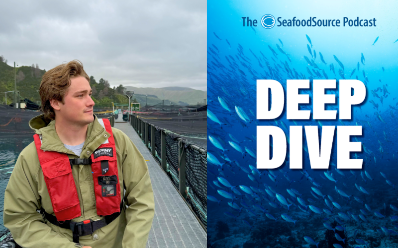 James Sibley next to the Deep Dive podcast logo