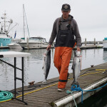 A man walking on a dock holding two salmon