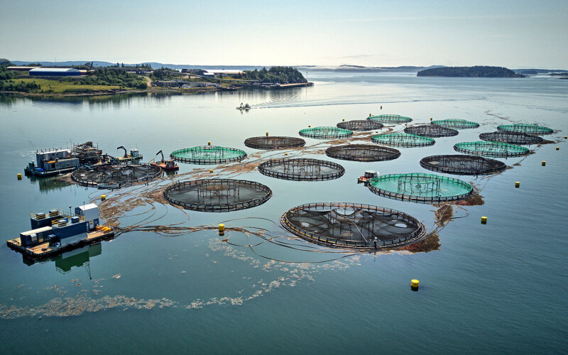 Aquaculture nets in Japan
