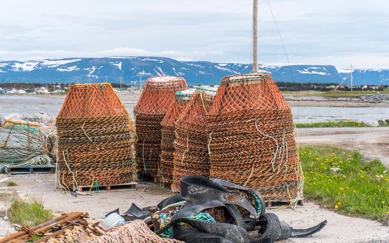 Snow crab pots on shore in Newfoundland and Labrador