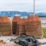Snow crab pots on shore in Newfoundland and Labrador