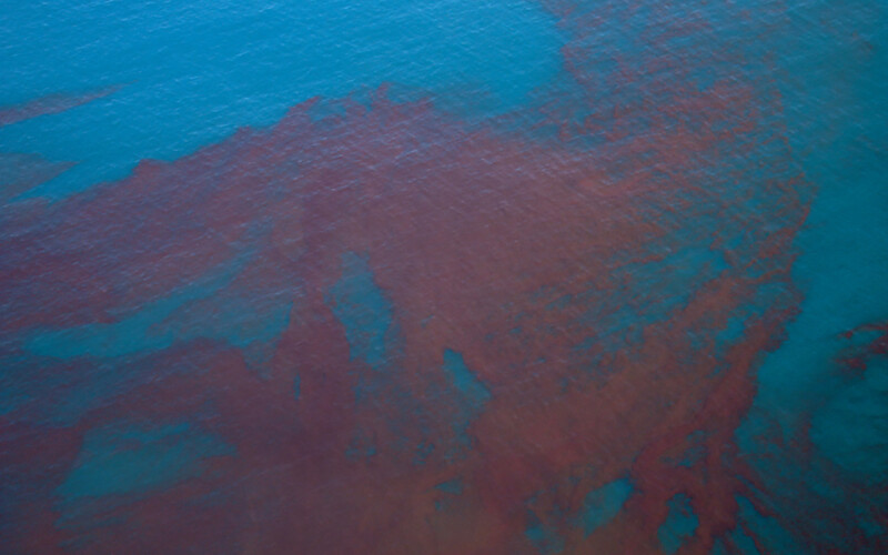 Red tide