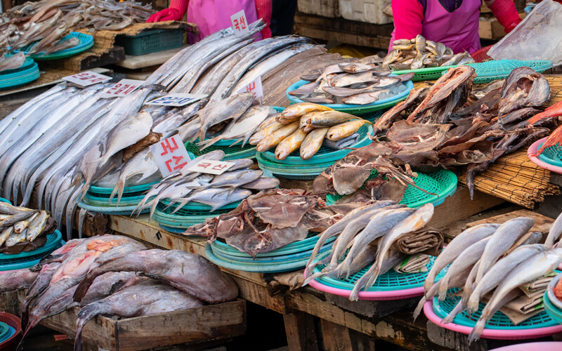 A seafood market in Busan, South Korea