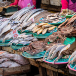 A seafood market in Busan, South Korea