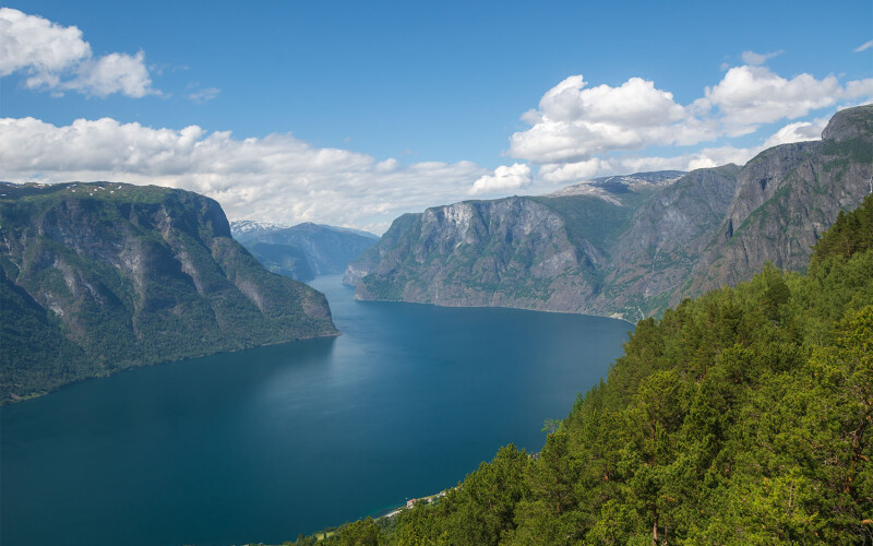 An aerial view of the Sognefjord in Norway, where Aller Aqua's salmon farm was located
