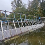 The Quinsam River weir on the Quinsam River