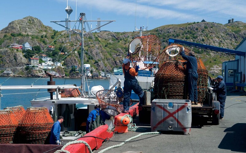 A dock featuring fishermen loading snow crab traps in Newfoundland