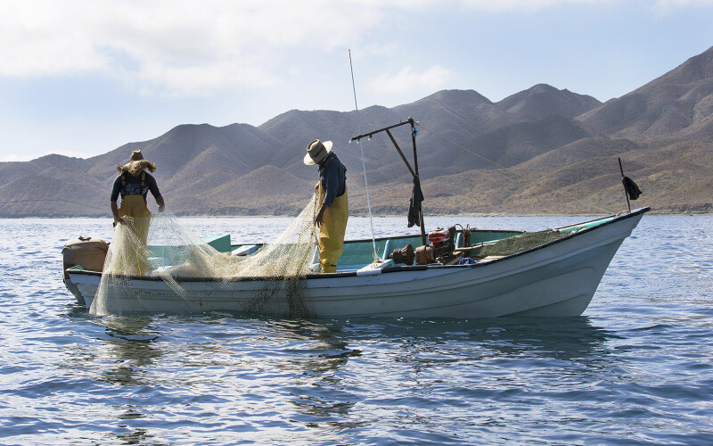 Mexican fishers