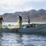 Mexican fishers