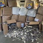 A pile of boxes filled with shark fins seized by the U.S. Fish and Wildlife Service