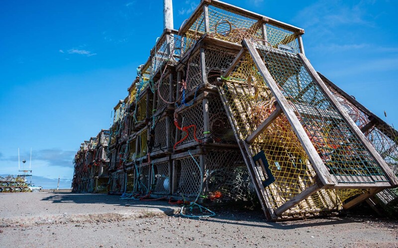 Lobster traps in Nova Scotia
