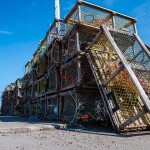 Lobster traps in Nova Scotia