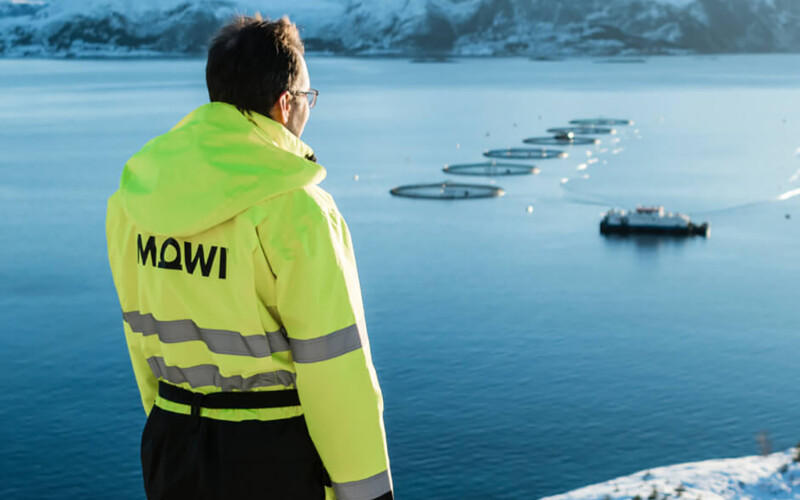 A Mowi employee staring out at net pens