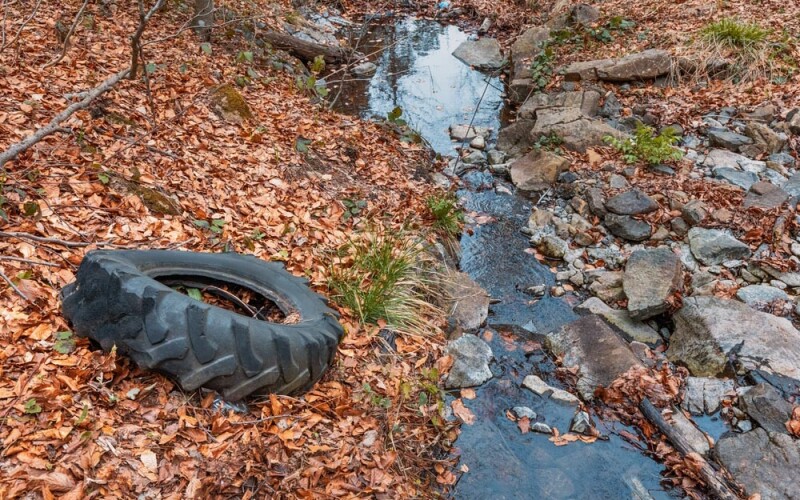 A tire sitting next to a stream