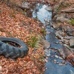 A tire sitting next to a stream