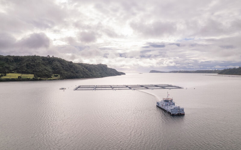 An aerial shot of a Ventisqueros salmon farm