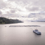 An aerial shot of a Ventisqueros salmon farm