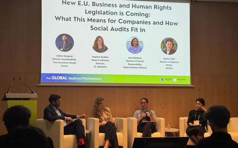 Panelists at Seafood Expo Global speak about EU human rights regulations