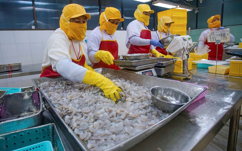 An Indonesian shrimp-processing facility