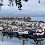 fishing vessels in Washington