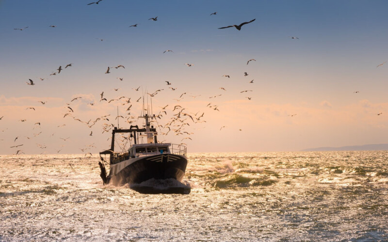 The evaluation reported some progress in reducing overfishing and improving management, but fish stock recovery and economic gains remain lower than expected.